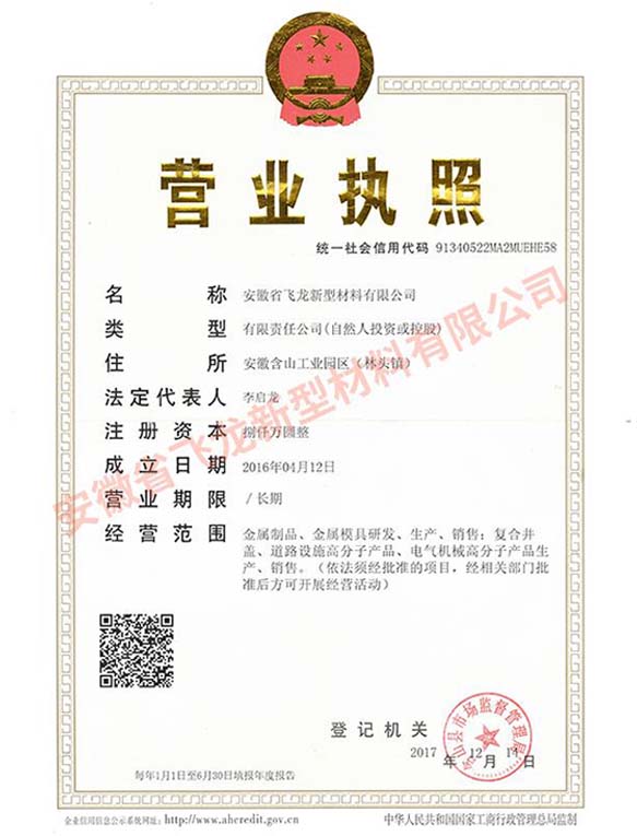 飛龍營(yíng)業(yè)執(zhí)照正本