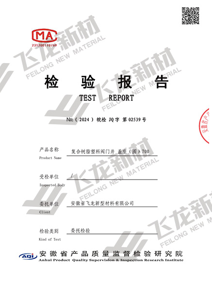 復(fù)合樹脂塑料閥門圓井 700 B125